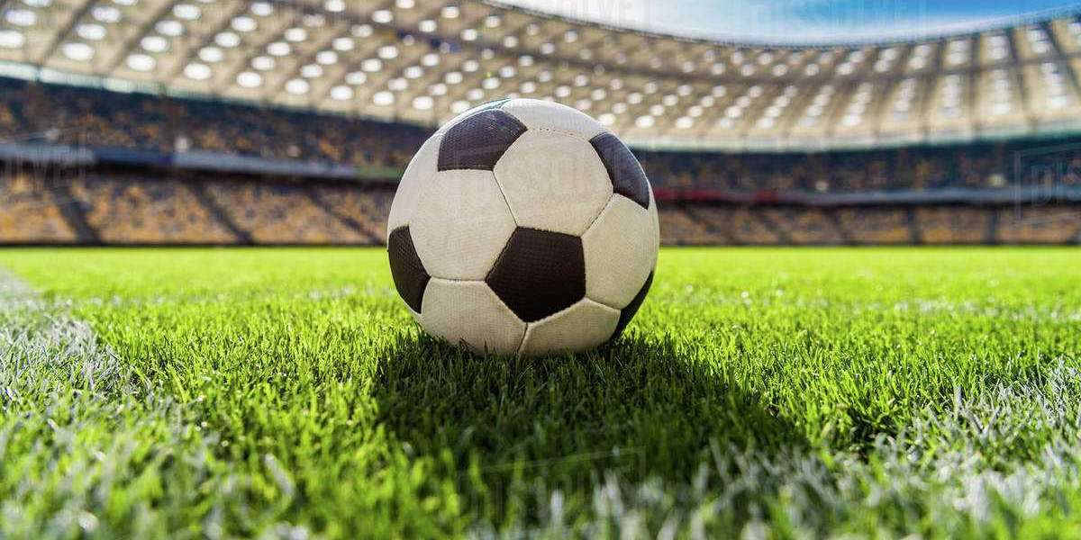 Types of Football Betting – A Guide for Beginners (October 2024)