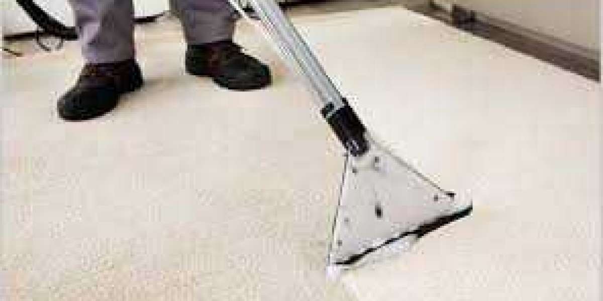 ﻿﻿Elevate Home Aesthetics with Expert Carpet Care and Cleaning